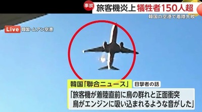 【済州航空事故】鳥専門chのYouTuberに誹謗中傷が殺到「鳥のせいで数百人が亡くなったのに、こんな時にまだチャンネルを運営するのか」