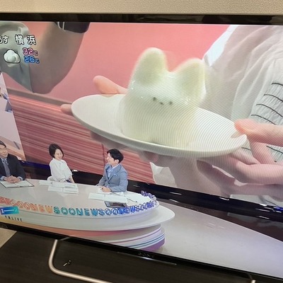 【NHKまた失態】日本人がデザインした猫カップを盗作した朴リプリンを「韓国発」と紹介　作者が指摘「デザインは私で正真正銘東京発でございます」