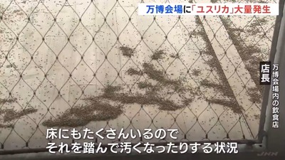 【動画】万博ユスリカ、どんどん増殖 お前らの想像以上のペースで増えている模様wwww 【動画】万博ユスリカ、どんどん増殖 お前らの想像以上のペースで増えている模様wwww