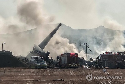 【続報】181人搭乗の韓国旅客機、原因はバードストライク　乗務員2人救出も現在62人死亡確認、ほぼ壊滅状態