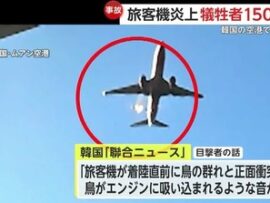 【韓国旅客機事故】「何かがおかしい」原因は鳥流衝突で早期認定報道されるも、多数の権威ある専門家から「バードストライクは無理がある」と指摘