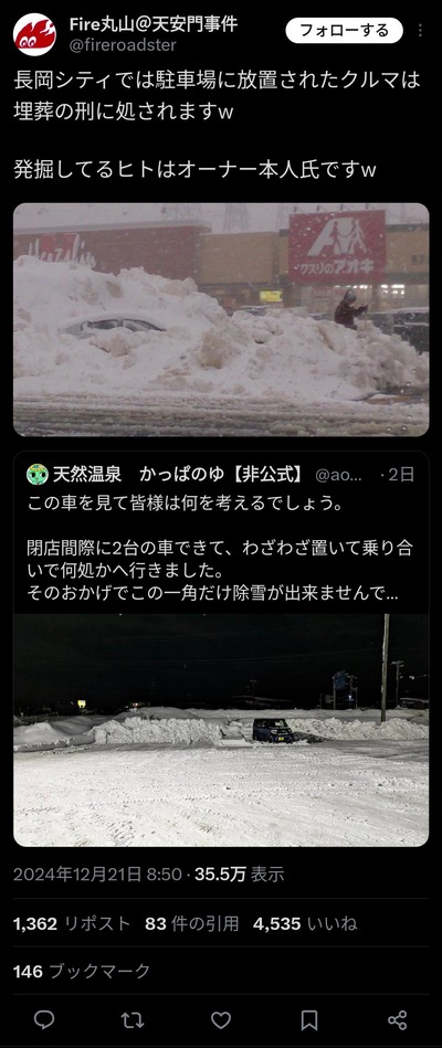 【画像】雪国の鉄の掟を守らなかった車、無事埋葬される