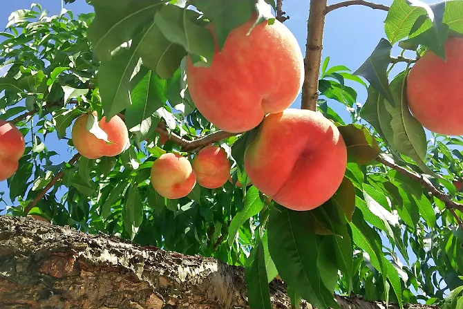 丑湯でリフレッシュ