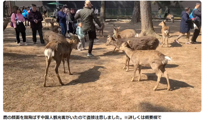 【また鹿が顔面蹴られる】直接注意した撮影者「中国人観光客」報道・警察「えーこれも人物や国籍は不明です」