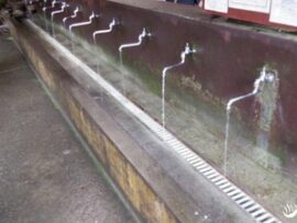【やばすぎ】旅館の湧き水がノロウイルスに汚染→食事した宿泊客や水を持ち帰った人達458人が食中毒「発覚まで1000人以上が利用」