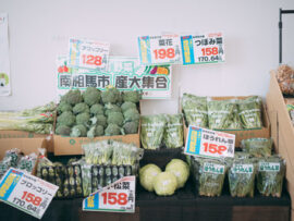 第4回日本ベジ人口調査「日本人の約25%がヴィーガン、または肉も食べる緩いヴィーガンであると判明」