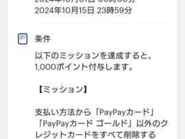 【速報】ソフトバンクとLINEヤフーの合弁会社、PayPay株式会社が日本人の感覚では考えられないキャンペーン開催して賛否「PayPay系列以外のクレカ全削除で1000pt」