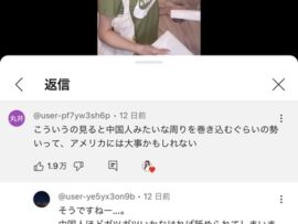 日本人「日本人もアメリカで差別に合わないために中国人みたいな図々しさを備えるべき！」→賛同殺到