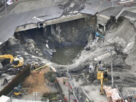【画像】埼玉の穴、立派に育つ