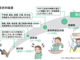 【速報】反ワクチン派、ついに発症致死率100%の狂犬病ワクチンも拒否に目覚めるｗｗｗ