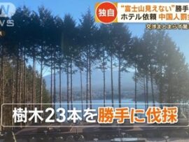 【速報】中国人、所有ホテルから富士山が見えるよう無断伐採　裁判所「身勝手で厳しい非難に値する、執行猶予」は？