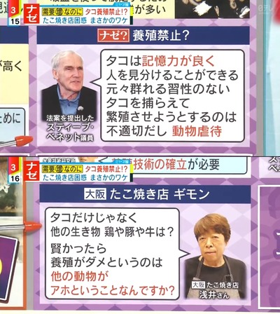 アメリカ人「タコは賢いから養殖はダメ」大阪のたこ焼き屋さん「えっ、鶏や豚や牛はアホってこと？」