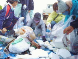 【速報】複数の日本人から採取された血液に「プラスチック」腎臓、肝臓などから紫外線吸収剤やポリ塩化ビフェニールなどの有害化学物質も検出