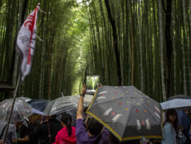 【速報】日本政府、多数の中国人が観光目的で来日したまま行方不明になっていると発表「前例のない数字」