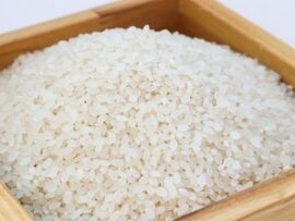 【速報】坂本農水相「昨日私がスーパーの店員に聞くと、4日は新米が届く予定だと言っていたので込め不足は解消すると思っている」