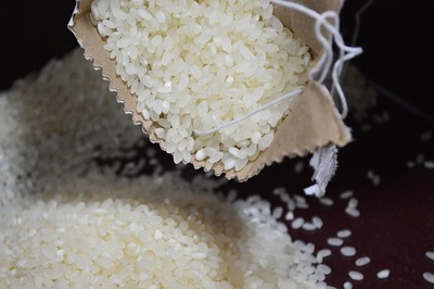 お前ら「JAは米を値下げしたくないから備蓄米を隠してる!!!」JA全農「もう落札分の41%出荷したけど…」 お前ら「JAは米を値下げしたくないから備蓄米を隠してる!!!」JA全農「もう落札分の41%出荷したけど…」