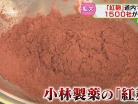 小林製薬毒紅麹　　どうやら単なるコンタミだった模様