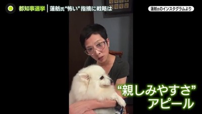 【画像あり】蓮舫さん、犬といっしょに親しみやすさをアピール　「あれ？猫は捨てたんか？」