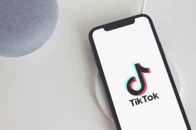 【米高裁】TikTok排除が動き出す　米国政府「来年1月までにAppStoreやGoogleストアから削除しろ」 企業側は「表現の自由」で争う