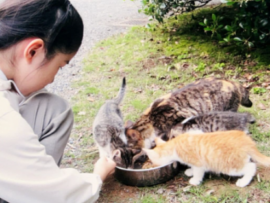 【悲報】天皇ご一家の飼い猫「みー」死ぬ