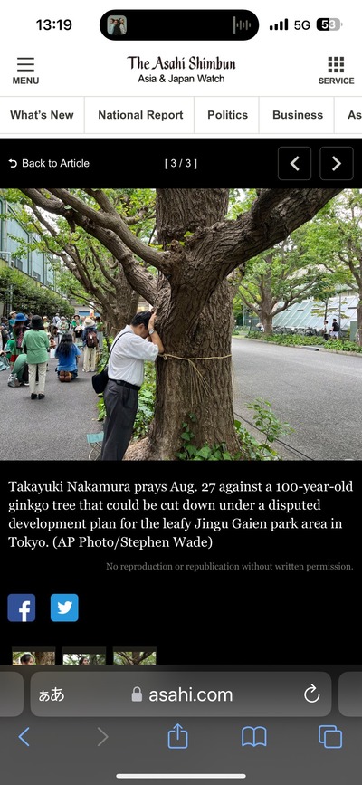 【画像】共産党の方、神宮外苑の街路樹に勝手にしめ縄巻いて祈りを捧げる　海外報道「祈ってる；；」現実「このイチョウは移植検討ですので^^;」