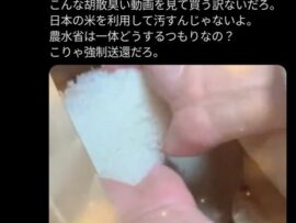 【悲報】コメの買い占め、中国人がやってました　さらに農協関係者からの情報で1kg8000円で売りつけているコメ詐欺発生