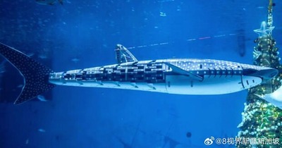 【画像】中国の水族館、主役のジンベエザメがロボットだとバレ炎上