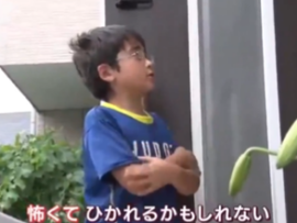 【動画】外国人ヤードが乱立した街、日本の子供たちが毎日轢き殺されそうになっていることが判明　子供「怖い・・・」