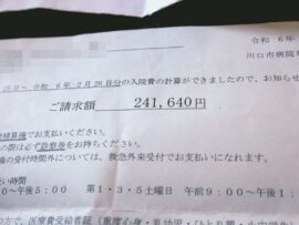 仮放免中のクルド人、無保険でインフルエンザの診療費24万円　東京新聞「人権上問題。政府が補填を」