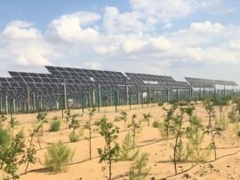 中国「日照量多くて土地代タダの砂漠に太陽光パネル敷き詰めたら大儲けやんけ！」結果、日陰に草が生え