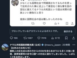 【速報】反AIさん、ナウル共和国から訴えられそう