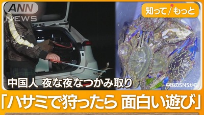 【速報】中国人が日本各地「密猟・乱獲」で暴れまくり生態系破壊、中国SNSで日本好き放題ツアーの募集をしていたことが発覚！