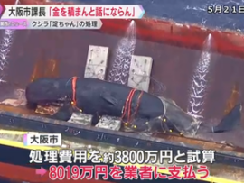 【速報】異様な高額クジラ処理業者と大阪市課長の会食発覚「処理費アップを進言」試算の倍以上の8000万円に