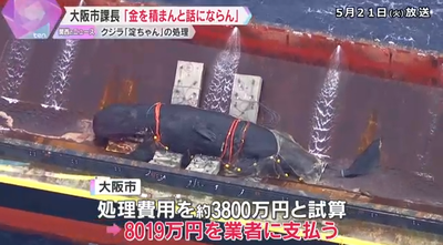 【速報】異様な高額クジラ処理業者と大阪市課長の会食発覚「処理費アップを進言」試算の倍以上の8000万円に