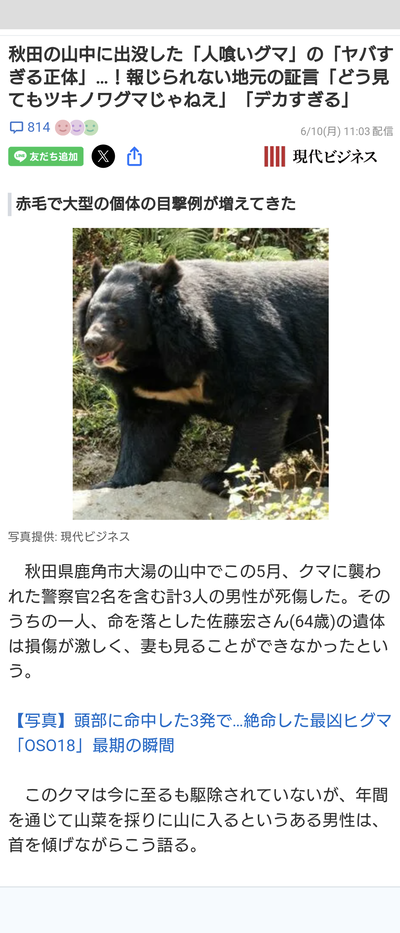 【5ch反応】秋田の山中に「人喰いグマの亜種」が出現　証言「あの赤毛、どう見てもツキノワグマじゃねえ」