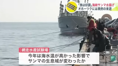 【朗報】今年はサンマがデカイくて大漁　2023年初水揚げ1kg14万→626円「店では1匹80円」