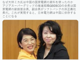 中国の国家電網の資料を使ったとされている大林ミカ氏、掘るとヤバイ特級呪霊と繋がってしまった・・・