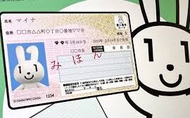 【速報】不法滞在外国人「マイナカードは無敵だ」不正取得と生活保護の不正受給が相次ぎ発生、手口が発覚してため公開