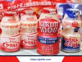 【速報】セーヌ川では日本製乳酸菌飲料を飲んだ者だけが生き残る