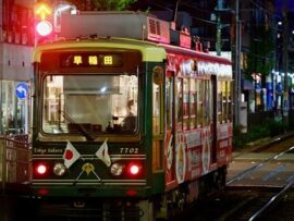 外国人タレントさん、パヨから総攻撃「こいつ日本人ウケ狙ってる」に反論で顔面パンチ「この国を嫌っていながら住んでいるんですか？私は日本が好きで、今ここにいます」