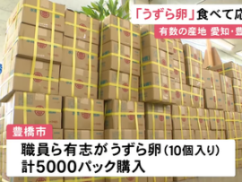 【悲報】誤嚥事故により学校給食での使用見合わせが続くうずらの卵、産地の市職員が5000パック購入「どうすんだよこれ」