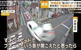 【中国人逆走事故】警察「危険運転致死容疑と酒気帯び運転容疑で送検」→地検「構成要件に該当しない」刑を軽めに変更　5ch「構成要件に該当してるだろ」