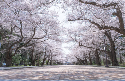 【朗報】学術会議の圧力が弱まったとたんに大学のデュアルユース（軍民両用）研究が殺到「安全保障の一端を科学で！」