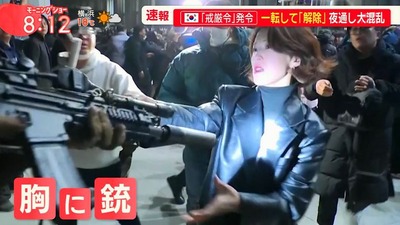 韓国市民さん、うっかり民主主義を死守してしまう 韓国市民さん、うっかり民主主義を死守してしまう