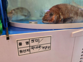 【速報】韓国、1740億円かけ日本の核汚染水産物を検査　何度確認しても基準超過0件「大金をかけ日本の安全性を証明、99.8%は低すぎて不検出」