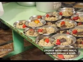 【悲報】ウクライナが北朝鮮兵に呼びかけ「投降すれば1日3食の温かい食事と快適な寝床や医療を提供する」特殊部隊が右往左往ｗｗｗｗｗ