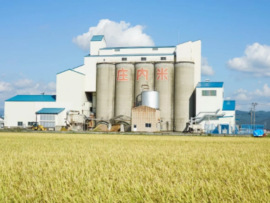 転売屋「備蓄米も買い占めてやるぜ」政府「無駄だ！精米してから売るので保存は効かんぞ」