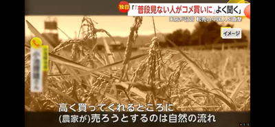 米問屋「高く買ってくれるところに農家が売ろうとするのは自然の流れ。で、日本人はいくらで買うの？」