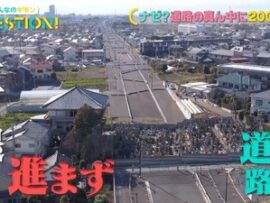 【画像】東京都、鬼畜「都市計画道路「放射第7号線」で敷地通過します、立ち退きしてくたさい」500年以上の歴史を持つ寺「墓残していけるか」