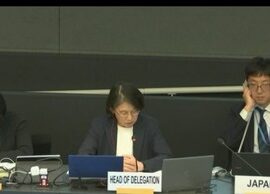 【速報】国連の女性差別撤廃委員会、日本の選択的夫婦別姓を議論　5ch「お前らが決めるの？」日本政府は「日本国民の理解必要」と繰り返す